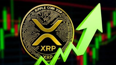 انباشت گسترده ریپل (XRP) توسط نهنگ‌ها، آیا جهش قیمت در راه است؟
