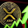 انباشت گسترده ریپل (XRP) توسط نهنگ‌ها، آیا جهش قیمت در راه است؟